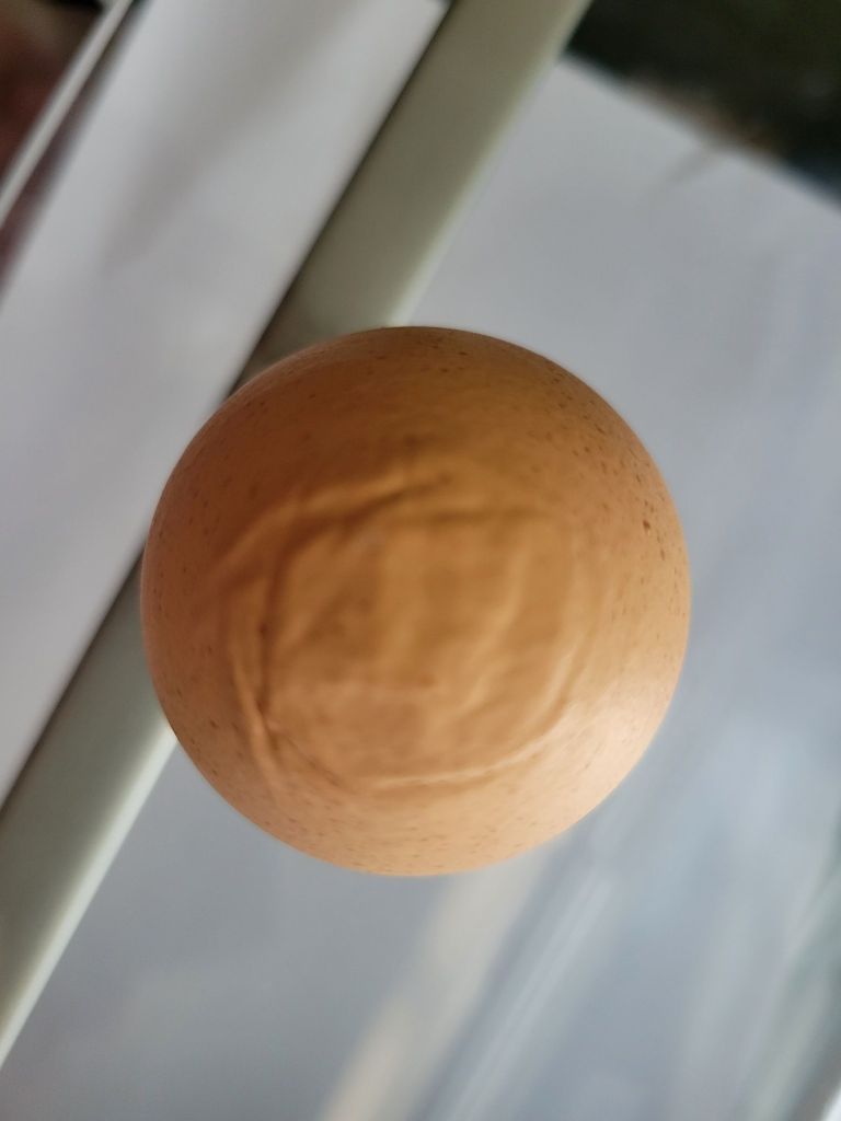 20260604_1024188535250428128766887